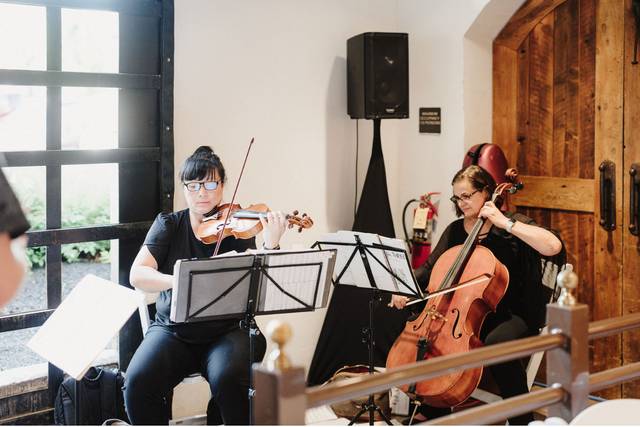Dolce DaVita Strings 3