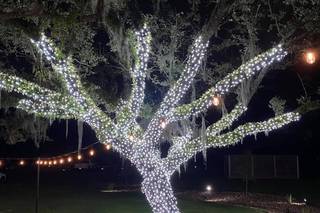 Addison Woods Wedding and Event Venue - 75
