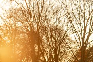 Victoria V Photography - 15