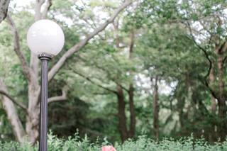 Madeleine Collins Photography - 52