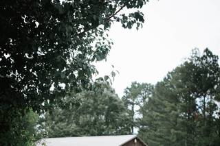 Carla Lawrence Photography - 23