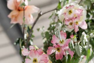 Flor de Casa Designs - 34