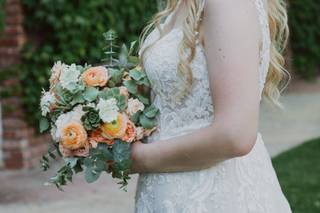 Ariele Chapman Photography - 17