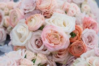 Bucks County Roses - 60