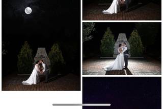 Kim Taylor Photography - 23