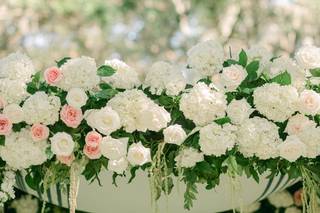 Dear Elizabeth Photography - 7