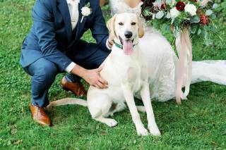 Rachael Osborn Photography - 12