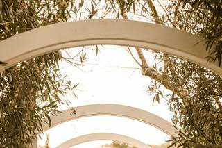 Redwood Canyon by Wedgewood Weddings - 46