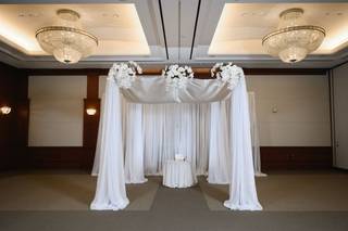 Patra Designs - 7