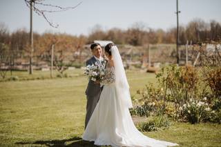 Red Maple Vineyard - 29