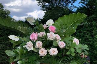 Aureate Florals - 22
