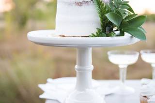 Cactus Collective Weddings - 81