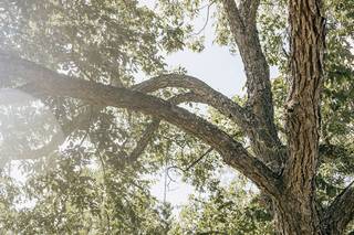 Leah Muse Photography - 103