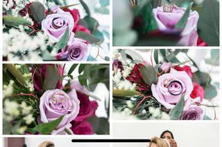 Chin's Photos - 6