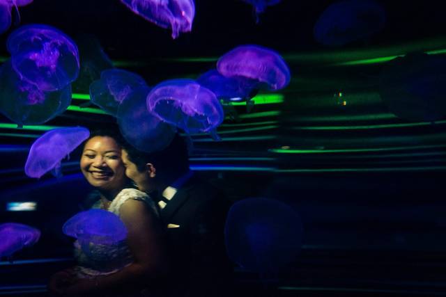 Ian Chin Photography 4