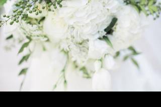 Daron Frazier Designs - 6