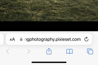 Vellum & Wing Photography - 10