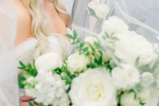 Lisa Marshall Photography - 5