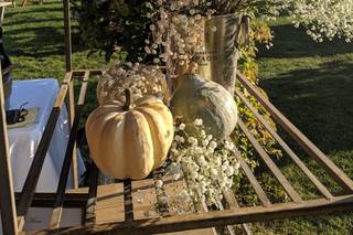 Sweet Berry Farm - 22