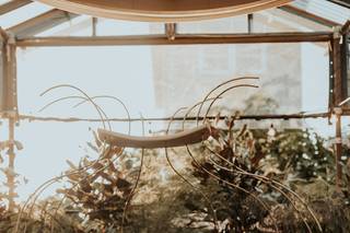 Dream Weddings & Events - 13
