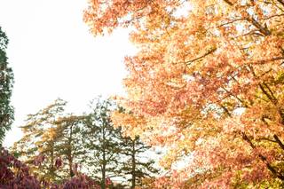 J.Parsons Photography - 8