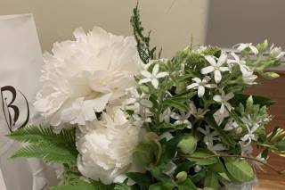 Nocturne in Bloom - 5