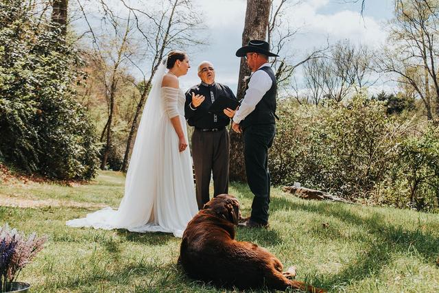 Small Wedding Experts - 4