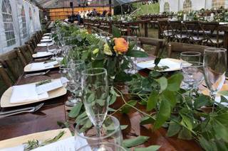 The Revel Rose - 23