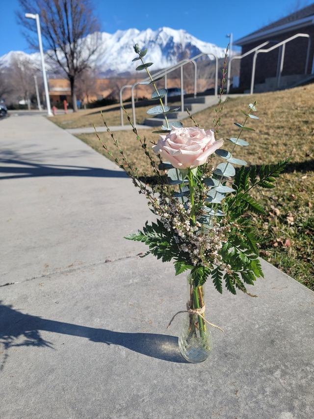 Red Poppy Flower Co. - 2