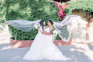 Alison Brynn Photography - 10