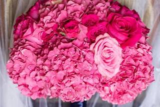 The Fuchsia Peony - 25