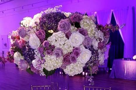 The Lighting & Sound Company 5
