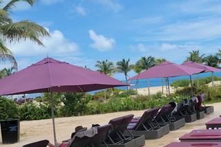 Suite Dreamz Travel - 5