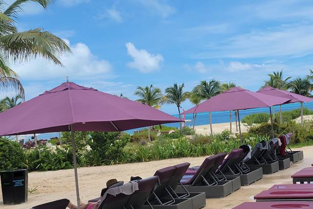 Suite Dreamz Travel 1