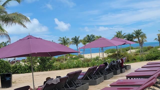 Suite Dreamz Travel - 1