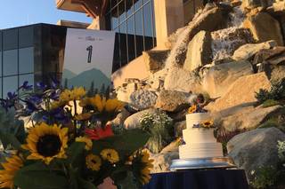 Liane McCombs Wedding & Event Planning - 9