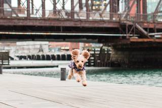 Lauren Dobish Photography - 19