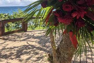 Fusion Floral ART - 80