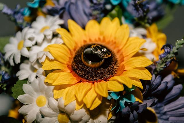 Jason Cole Photography - 3