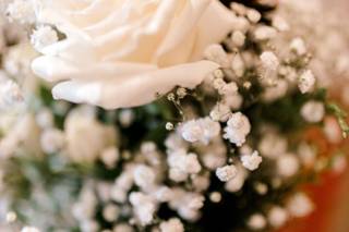 Hirt's Flowers - 9