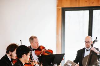 Cherrywood String Quartet and Ensembles - 10