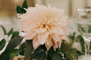 Uncloudy Studio - 33
