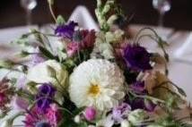 Ladyslipper Designs - 21