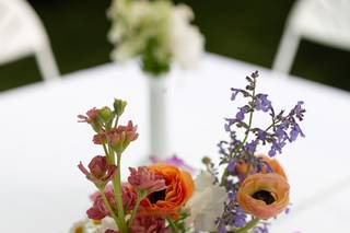 Highland Springs Floral - 18