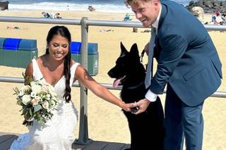 Brittany’s Pet Service LLC - 6