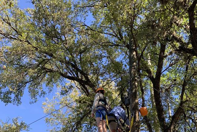 The Retreat at Balcones Springs 5