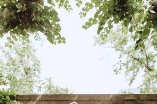 Paperbird Photography - 95