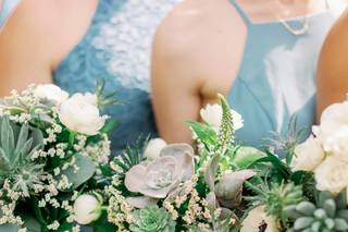 Diz's Daisys - 4