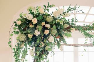 The Plant Gallery - 16