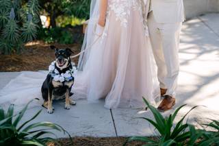 Elizabeth Worrell Weddings & Events - 13